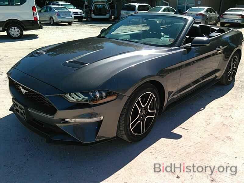 Photo 1FATP8UH9K5171123 - Ford Mustang 2019