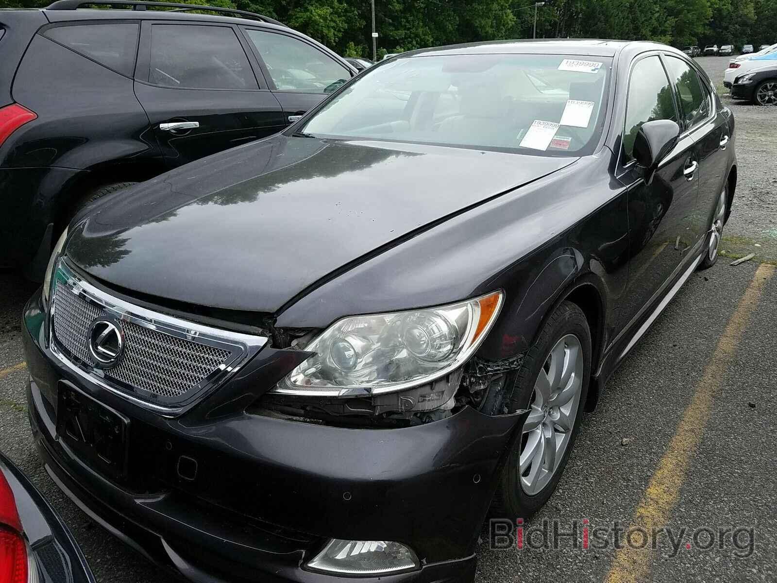 Photo JTHBL46F185074446 - Lexus LS 460 2008