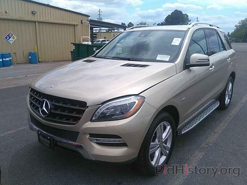 Фотография 4JGDA2EB6CA081679 - Mercedes-Benz M-Class 2012