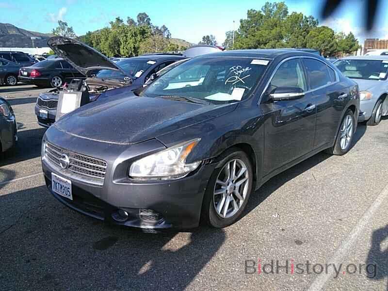 Photo 1N4AA5AP5AC840307 - Nissan Maxima 2010