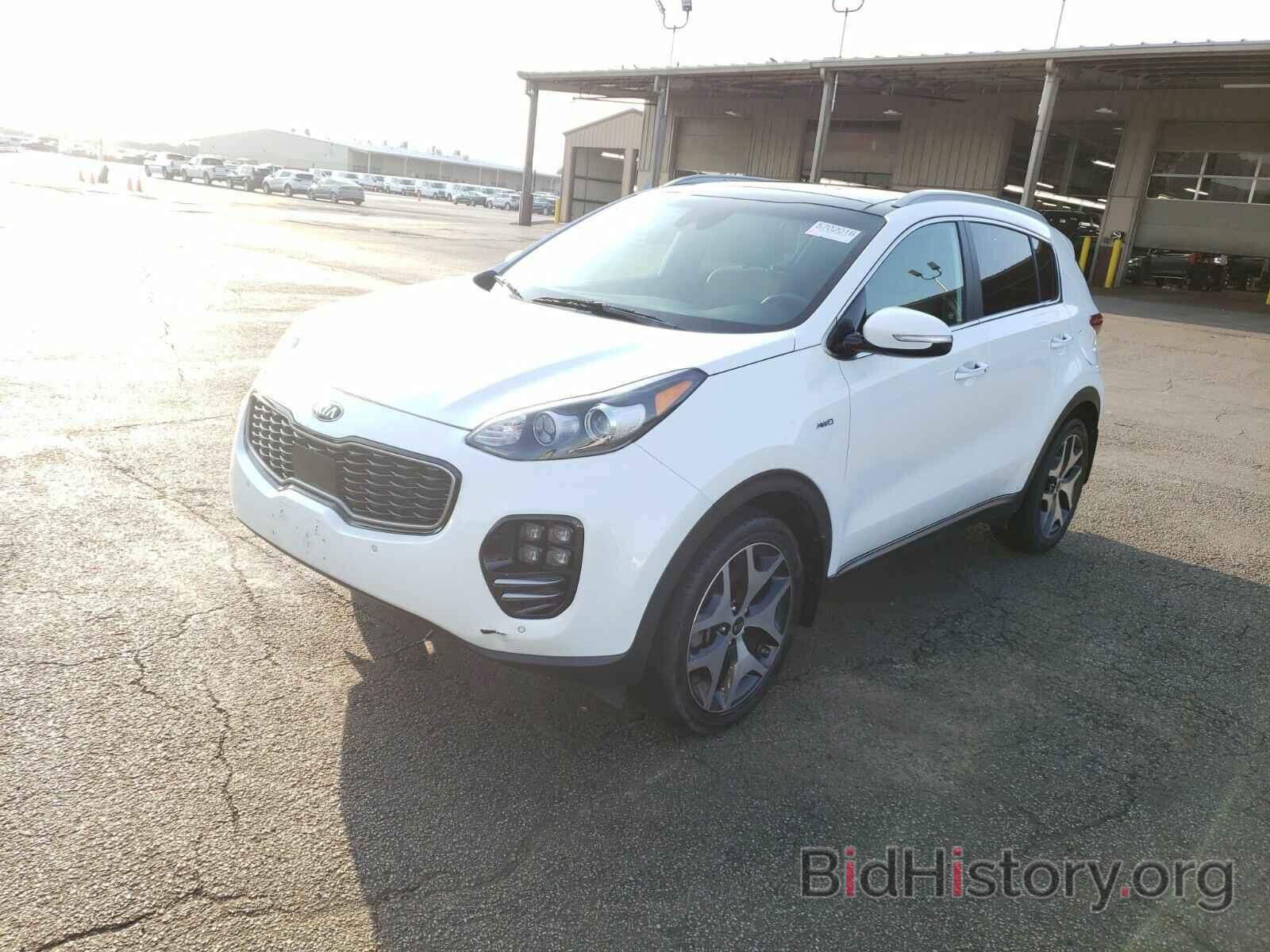 Фотография KNDPRCA61H7182609 - Kia Sportage 2017