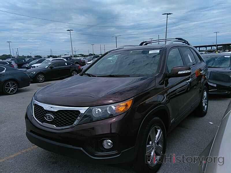 Фотография 5XYKUDA26DG385231 - Kia Sorento 2013