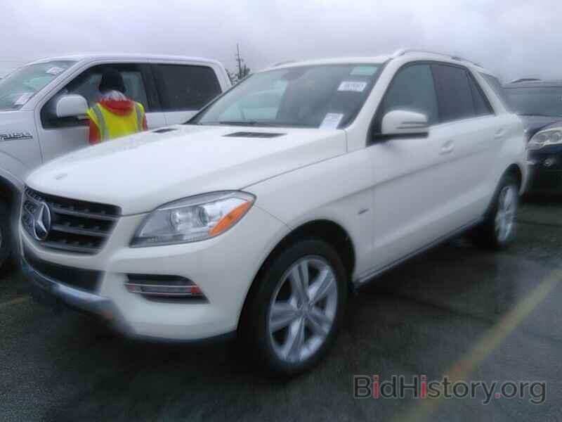 Photo 4JGDA5HB4CA035068 - Mercedes-Benz M-Class 2012