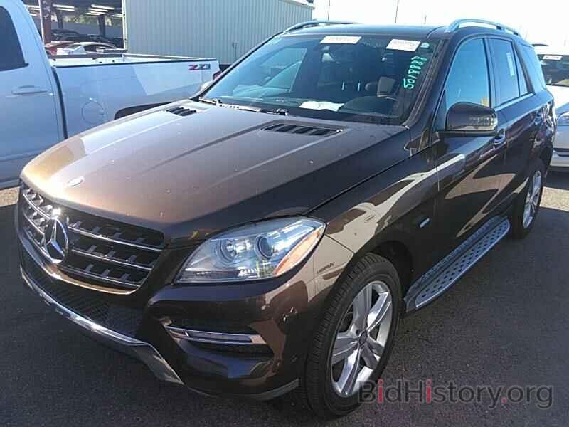 Photo 4JGDA5HB6CA031040 - Mercedes-Benz M-Class 2012