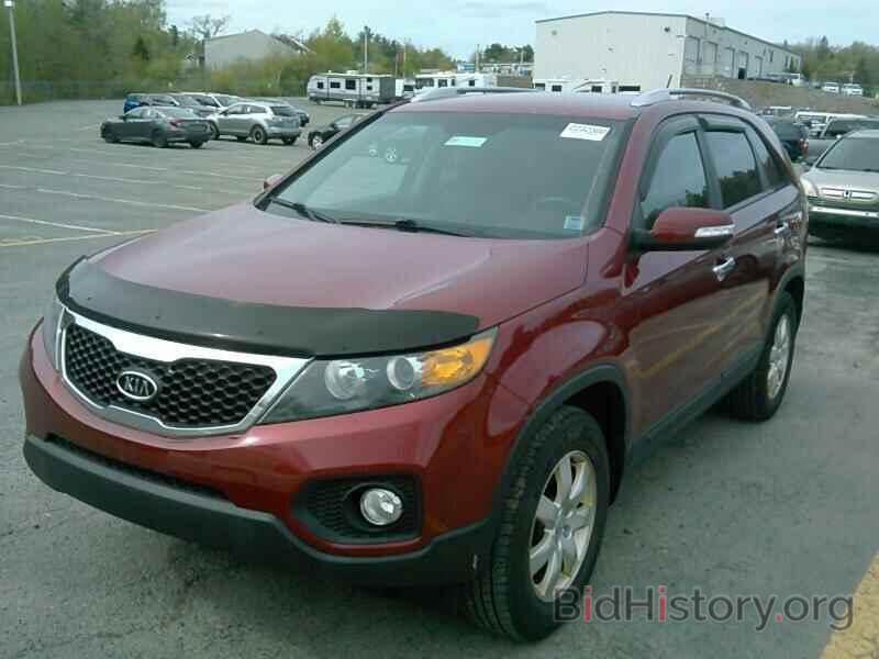 Фотография 5XYKT3A60DG416618 - Kia Sorento 2013