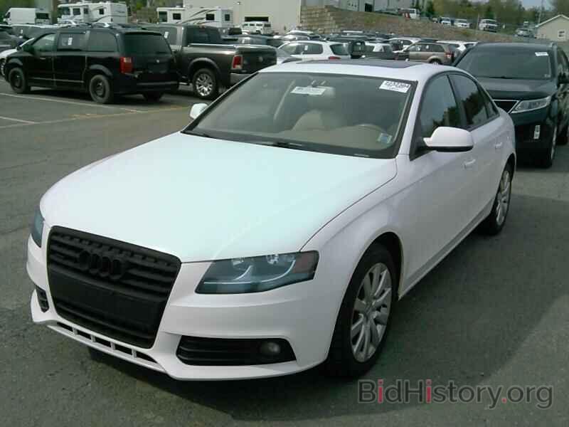 Photo WAUBFCFL4CA105517 - Audi A4 2012