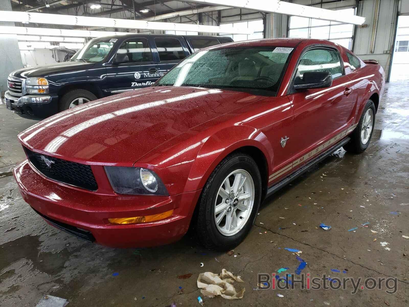 Photo 1ZVHT80N995118372 - Ford Mustang 2009