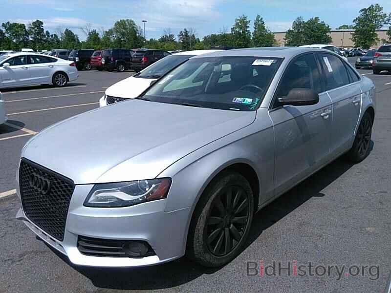 Photo WAUFFAFL9AN049246 - Audi A4 2010