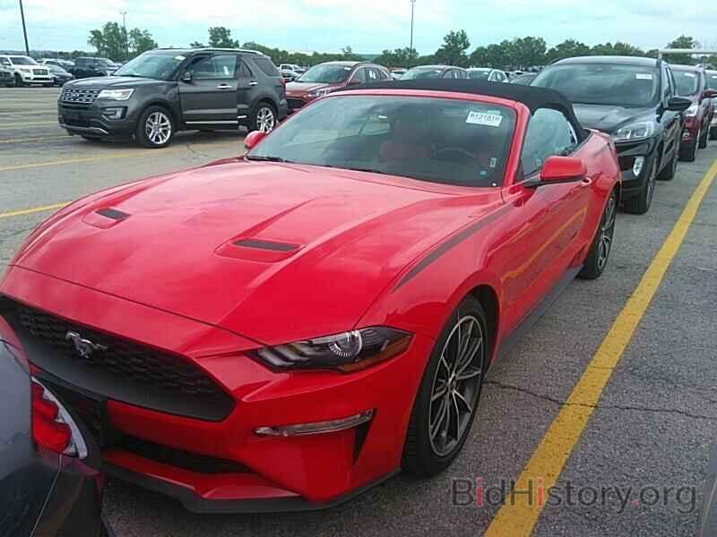 Photo 1FATP8UH4K5178500 - Ford Mustang 2019