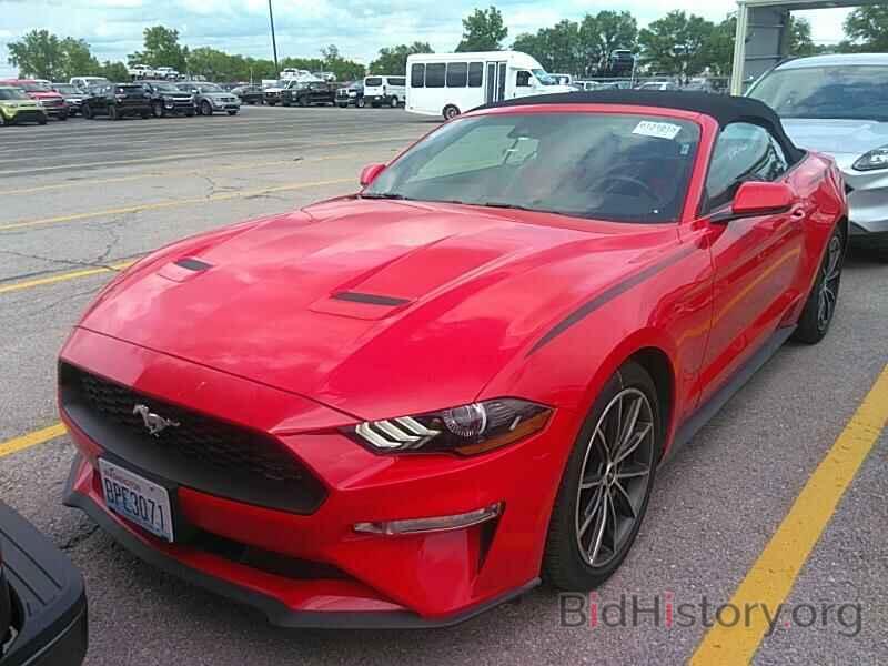 Photo 1FATP8UH7K5172447 - Ford Mustang 2019