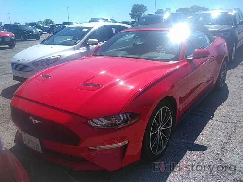 Photo 1FATP8UH8K5159478 - Ford Mustang 2019
