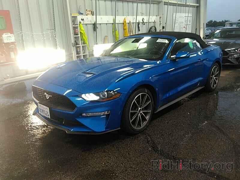 Photo 1FATP8UH8K5172246 - Ford Mustang 2019