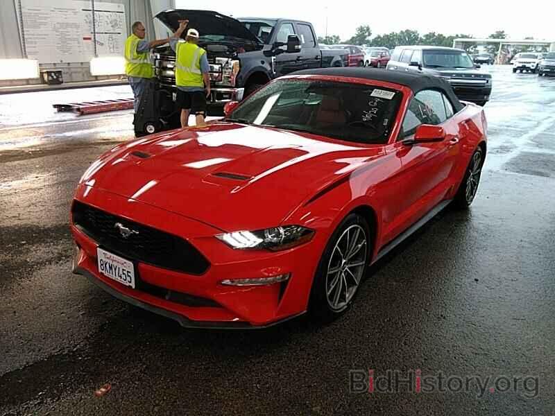 Photo 1FATP8UH7K5172285 - Ford Mustang 2019