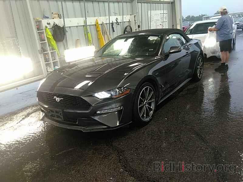 Photo 1FATP8UH7K5159813 - Ford Mustang 2019