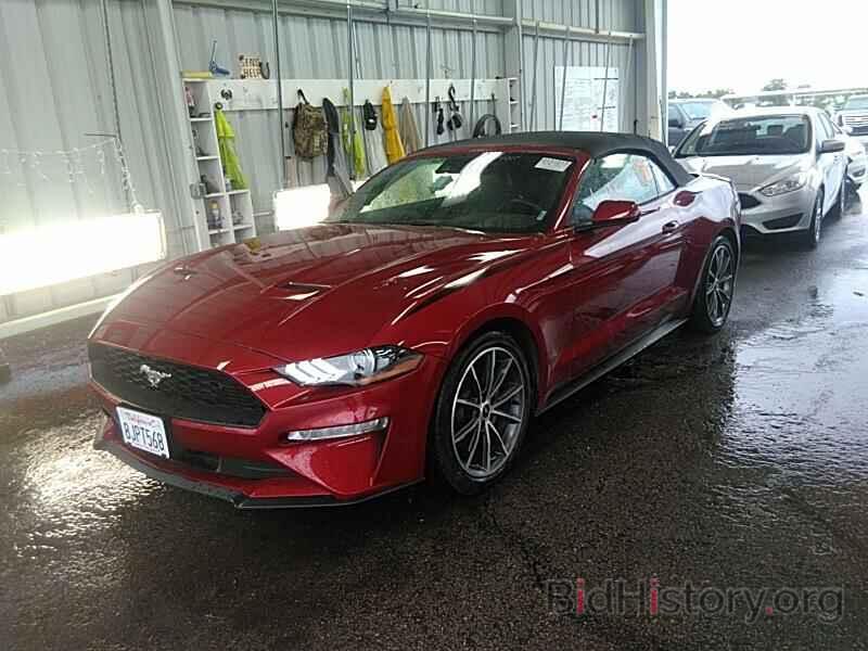 Photo 1FATP8UH7K5159486 - Ford Mustang 2019