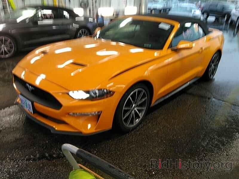 Photo 1FATP8UH4K5172387 - Ford Mustang 2019