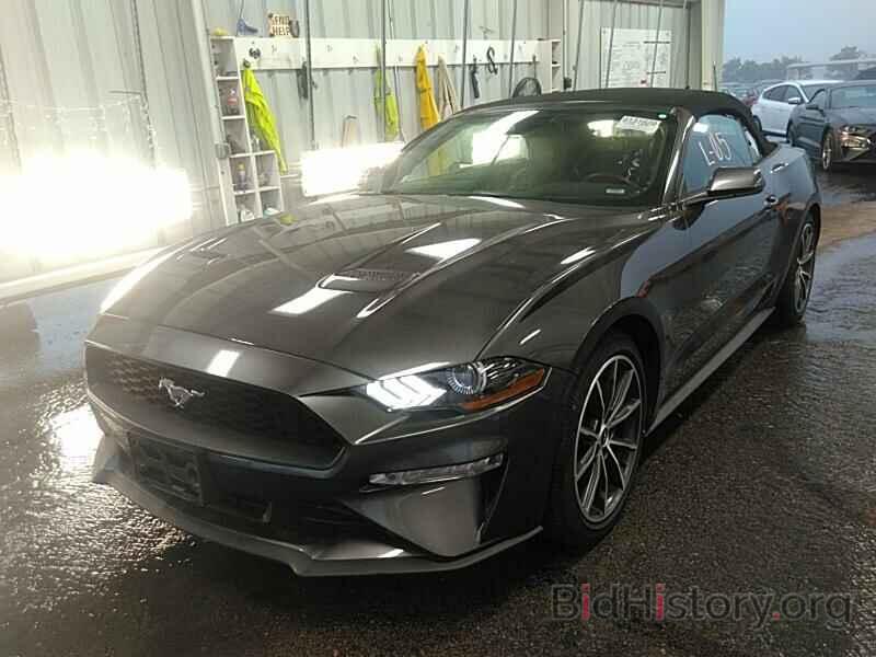 Photo 1FATP8UH5K5159812 - Ford Mustang 2019