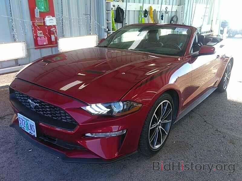 Photo 1FATP8UH8K5178502 - Ford Mustang 2019