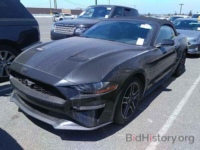 Photo 1FATP8UH3K5149490 - Ford Mustang 2019