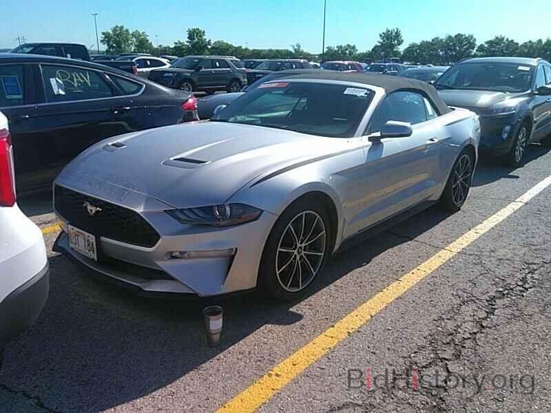 Photo 1FATP8UHXK5135957 - Ford Mustang 2019