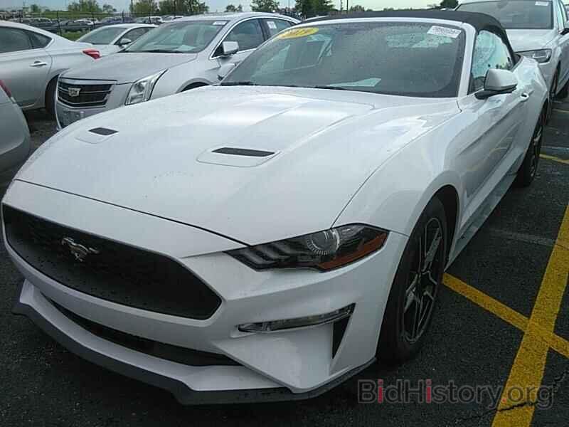 Photo 1FATP8UH2K5150890 - Ford Mustang 2019