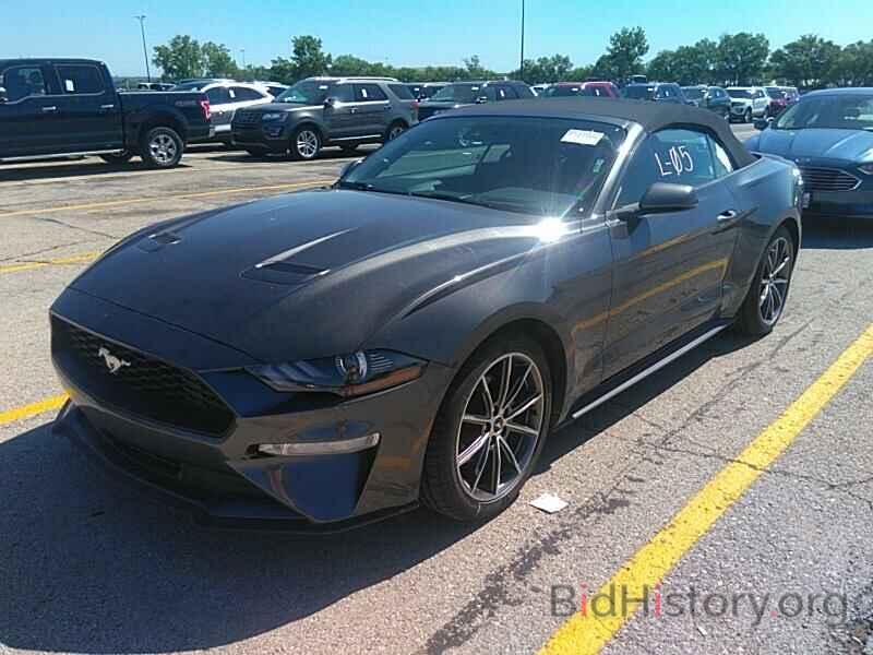 Photo 1FATP8UH4K5162166 - Ford Mustang 2019