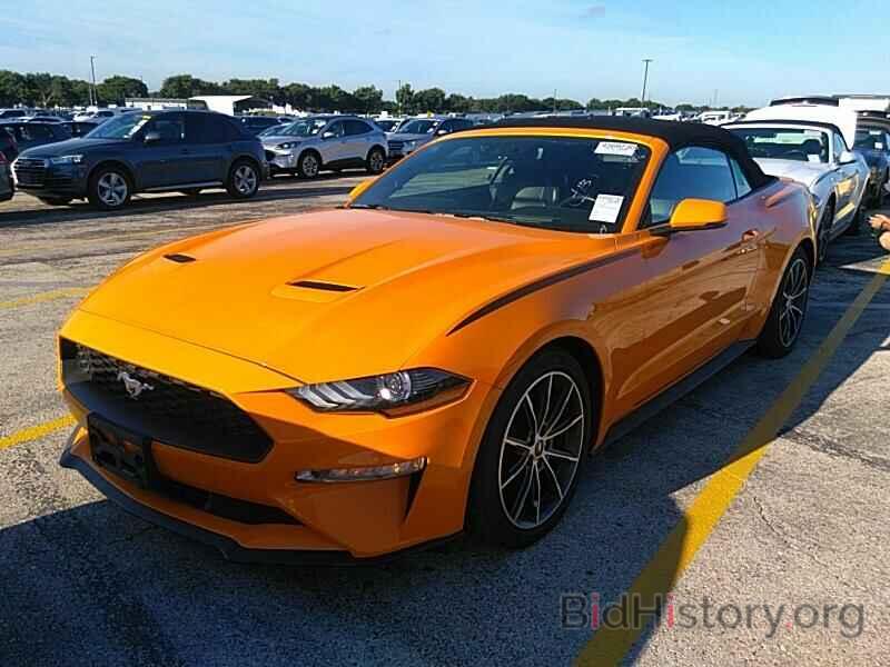 Photo 1FATP8UHXK5159823 - Ford Mustang 2019