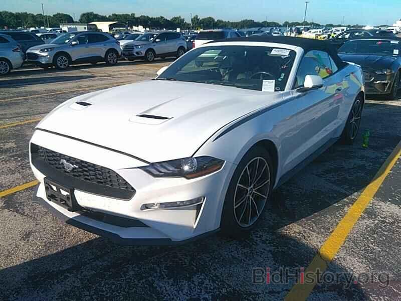 Photo 1FATP8UH5K5178988 - Ford Mustang 2019
