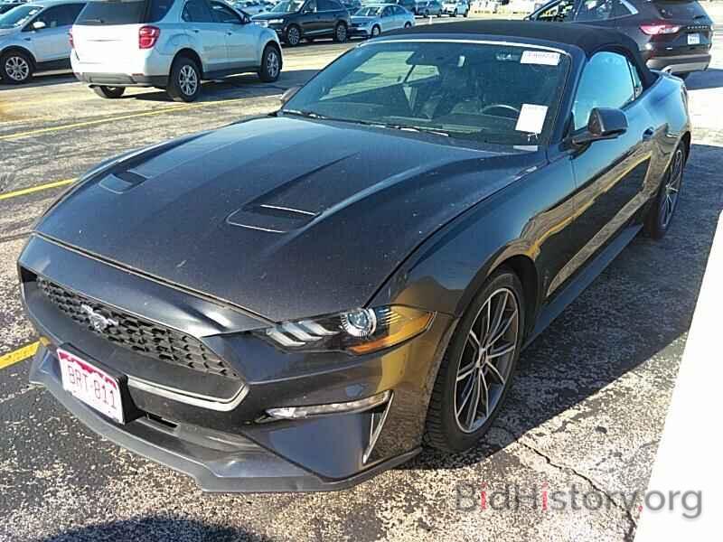 Photo 1FATP8UH9K5178685 - Ford Mustang 2019