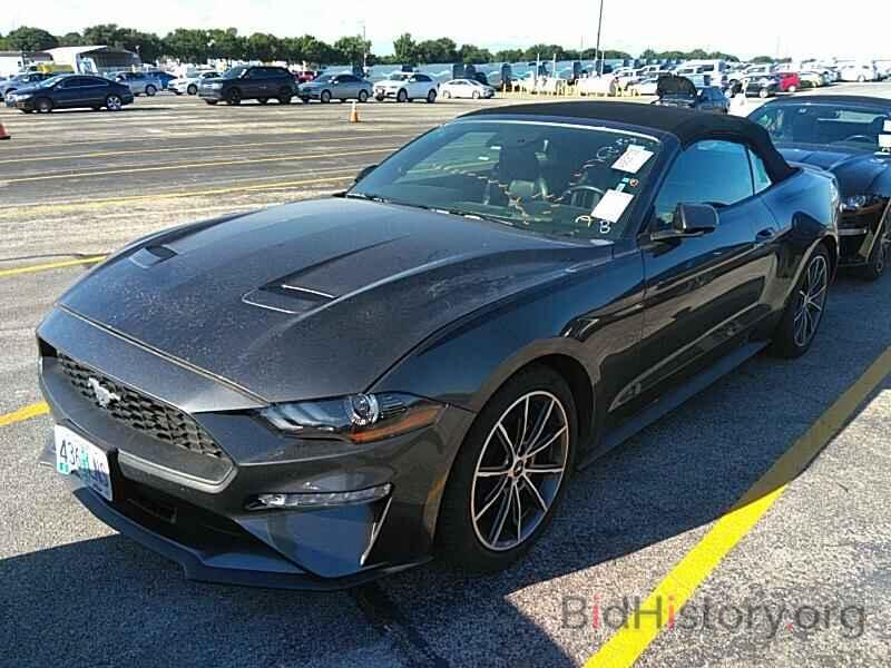 Photo 1FATP8UH1K5172377 - Ford Mustang 2019