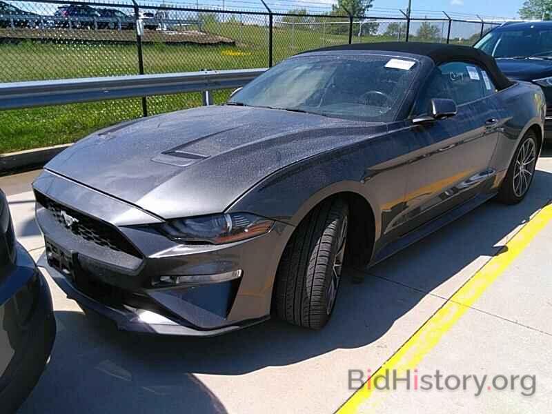 Photo 1FATP8UHXK5159854 - Ford Mustang 2019