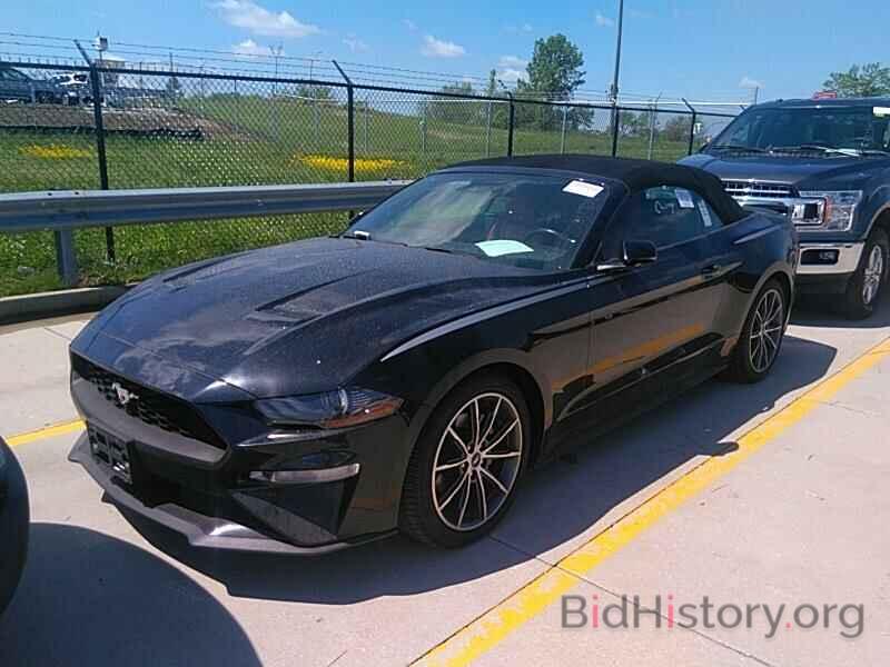 Photo 1FATP8UH4K5159431 - Ford Mustang 2019