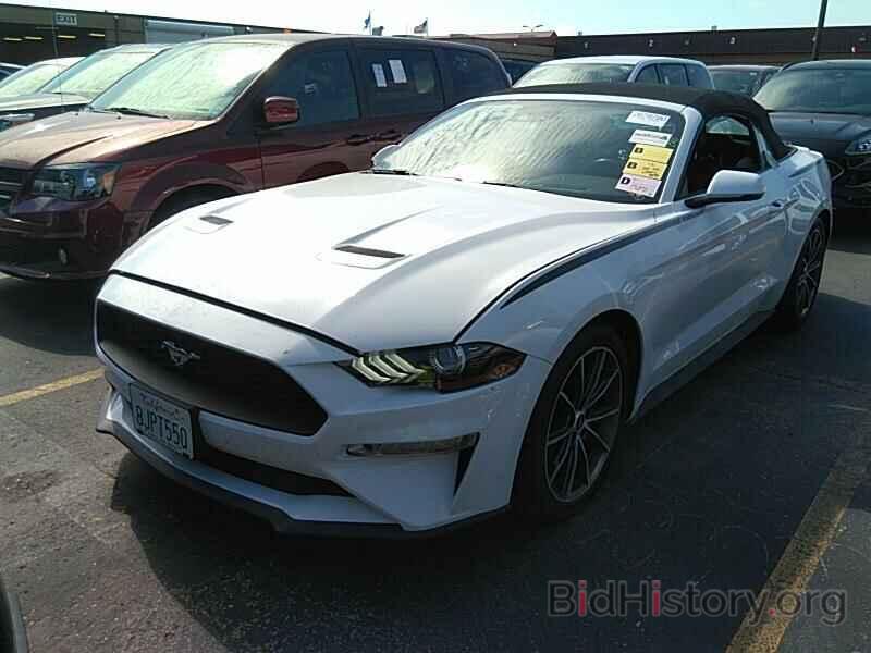 Photo 1FATP8UH3K5159498 - Ford Mustang 2019