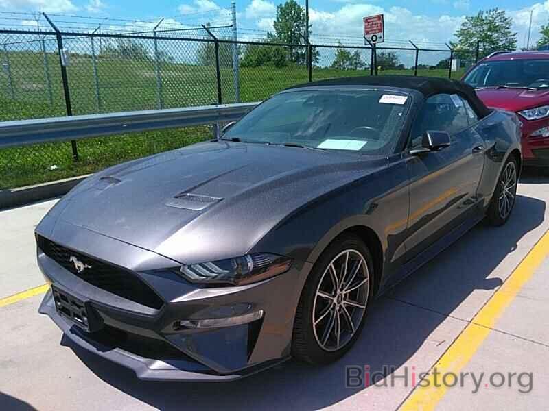 Photo 1FATP8UH3K5178813 - Ford Mustang 2019