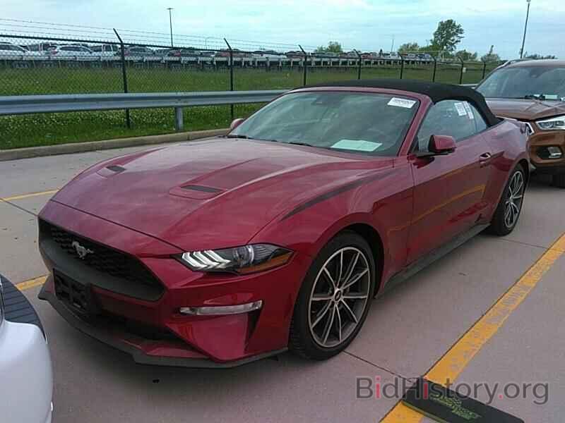 Photo 1FATP8UH4K5172289 - Ford Mustang 2019