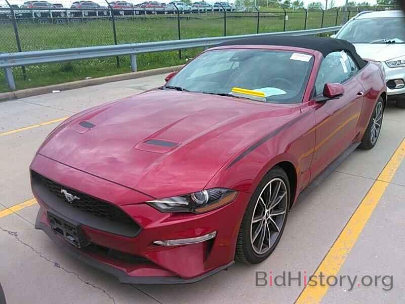Photo 1FATP8UH1K5162156 - Ford Mustang 2019