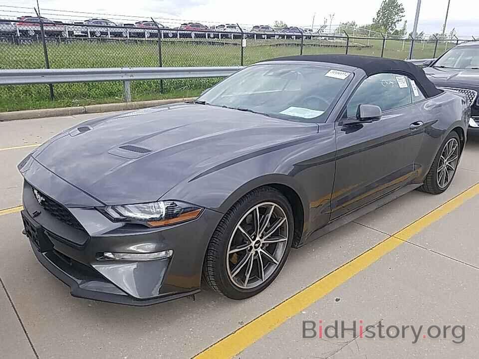 Photo 1FATP8UH0K5162147 - Ford Mustang 2019