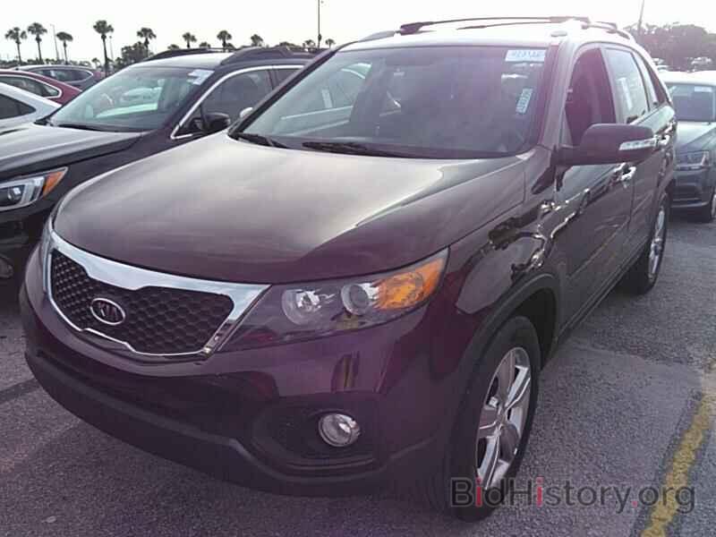 Фотография 5XYKU3A61DG327556 - Kia Sorento 2013