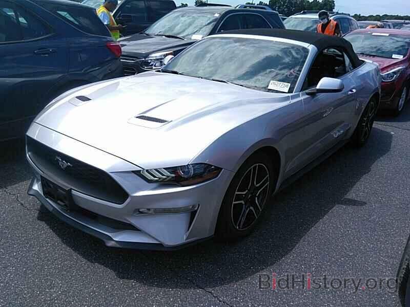 Photo 1FATP8UH6K5109663 - Ford Mustang 2019