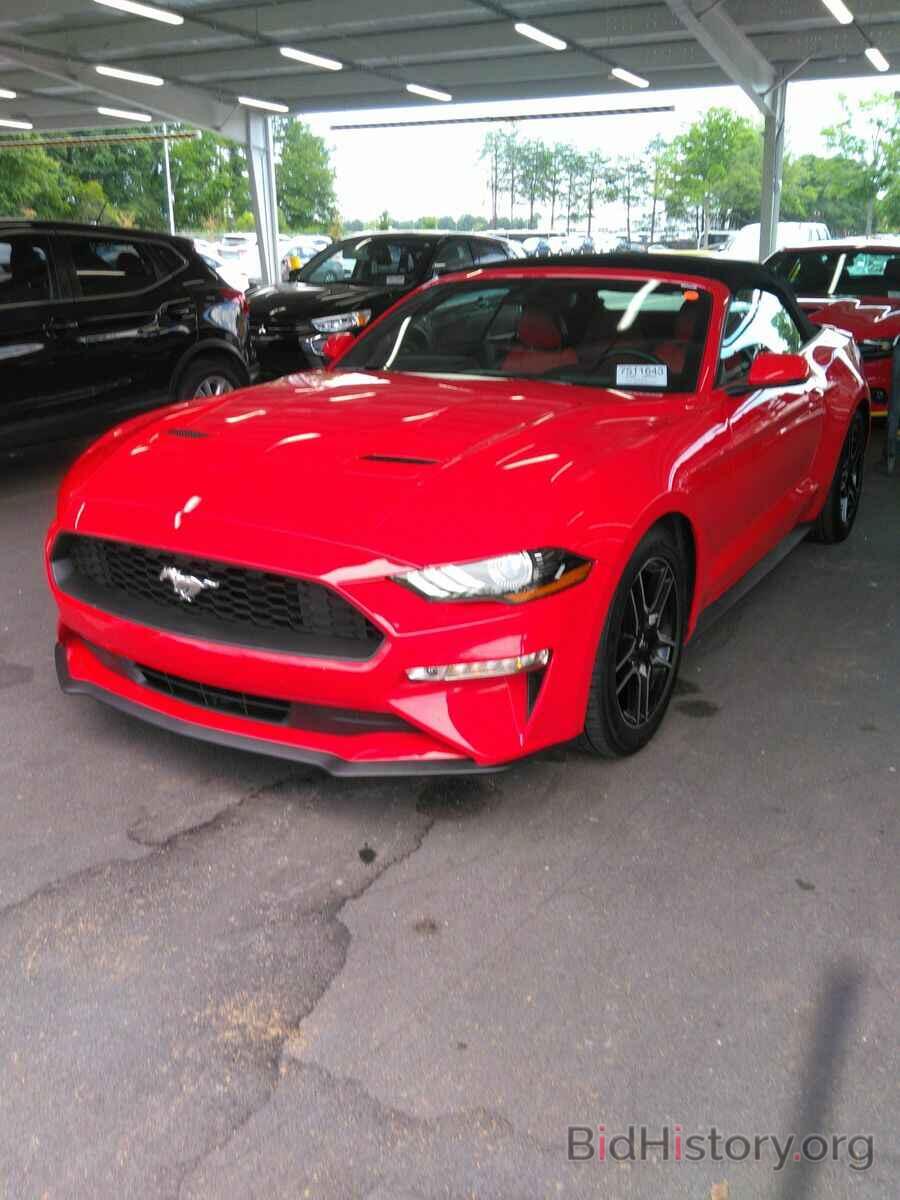 Photo 1FATP8UH8K5120938 - Ford Mustang 2019