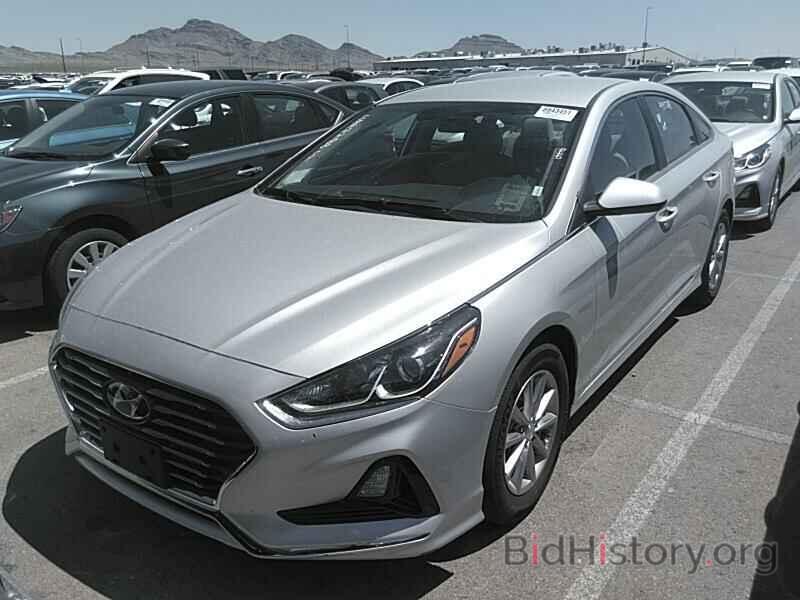 Photo 5NPE24AFXKH766706 - Hyundai Sonata 2019