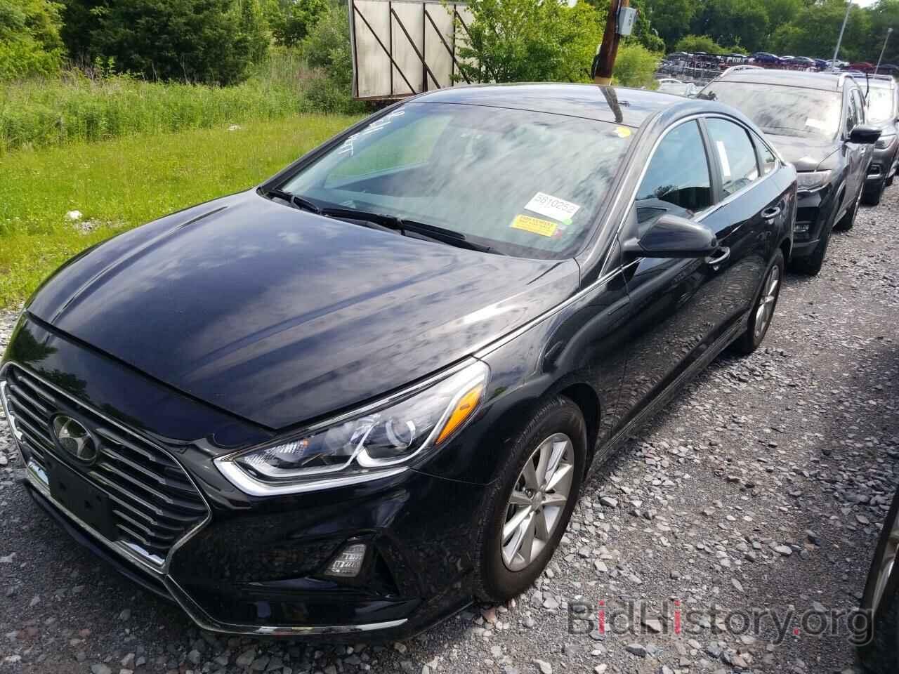 Фотография 5NPE24AF7KH732576 - Hyundai Sonata 2019