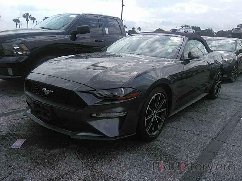 Photo 1FATP8UH8K5178760 - Ford Mustang 2019