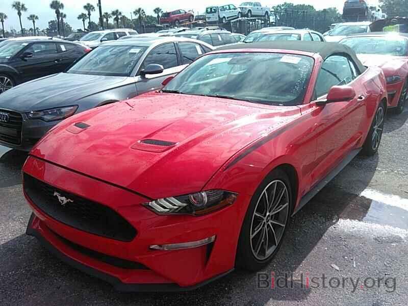 Photo 1FATP8UH1K5149861 - Ford Mustang 2019