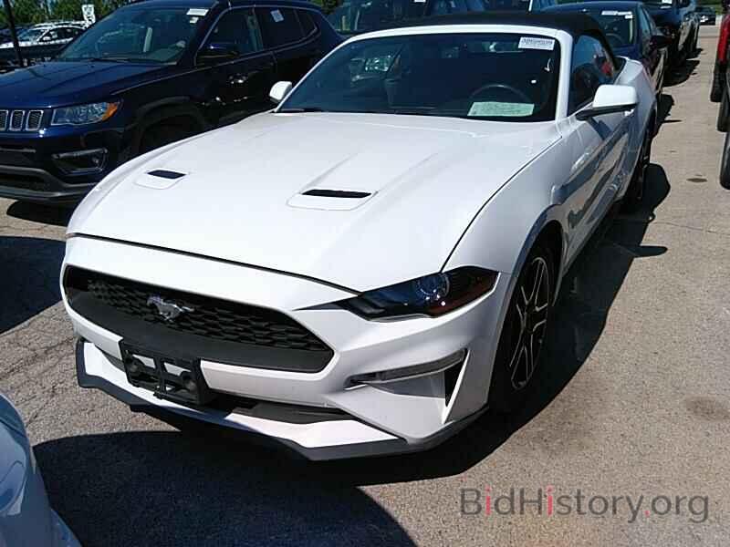 Photo 1FATP8UH4K5104316 - Ford Mustang 2019