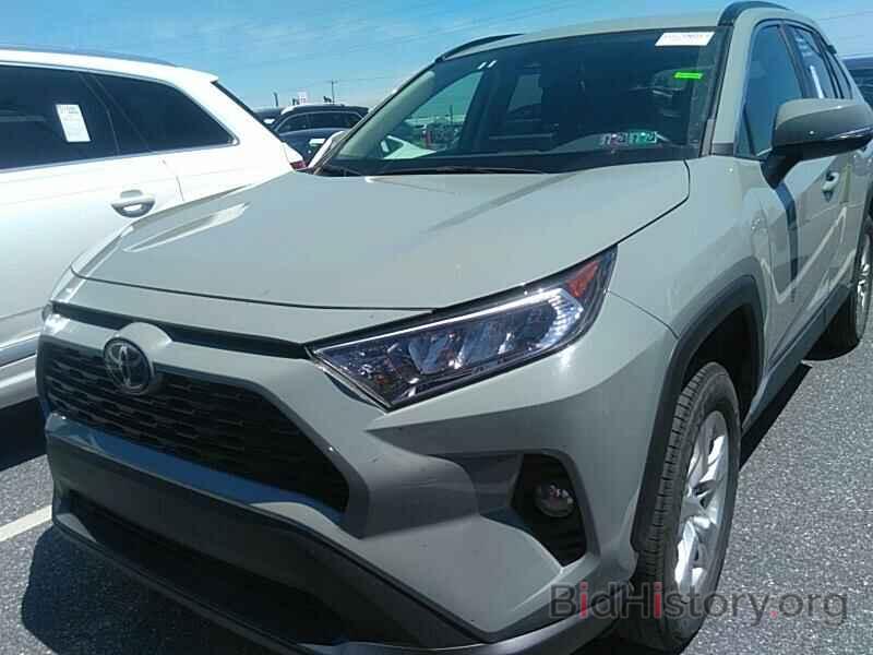 Фотография 2T3P1RFV9KW005330 - Toyota RAV4 2019