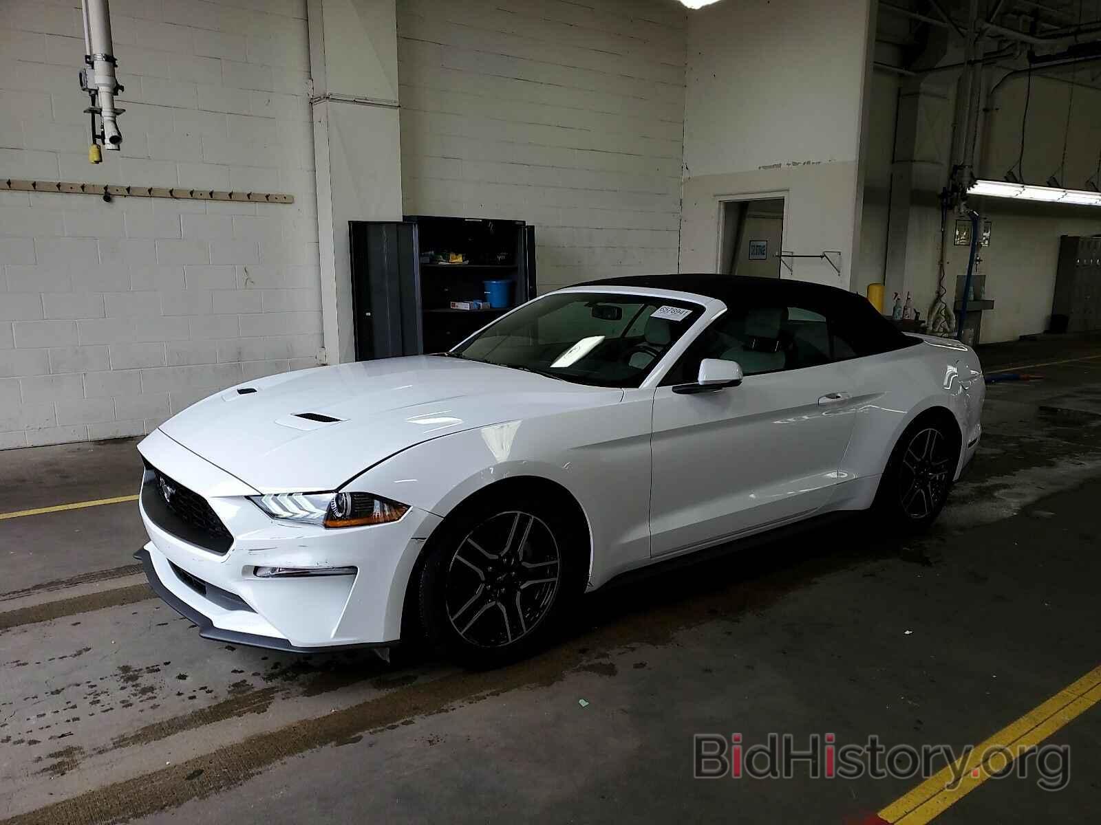 Photo 1FATP8UH7K5171167 - Ford Mustang 2019