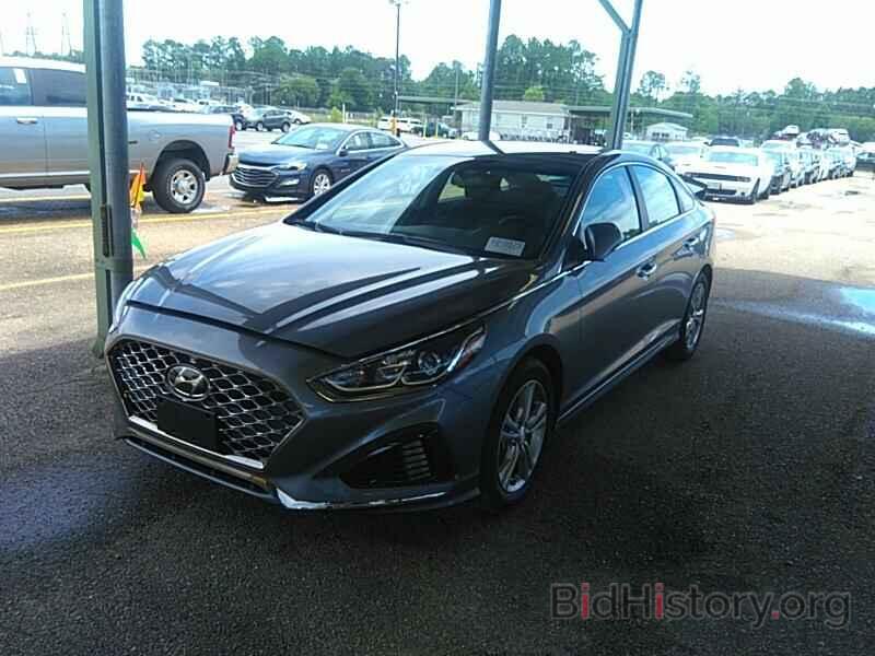 Photo 5NPE34AF3KH773851 - Hyundai Sonata 2019