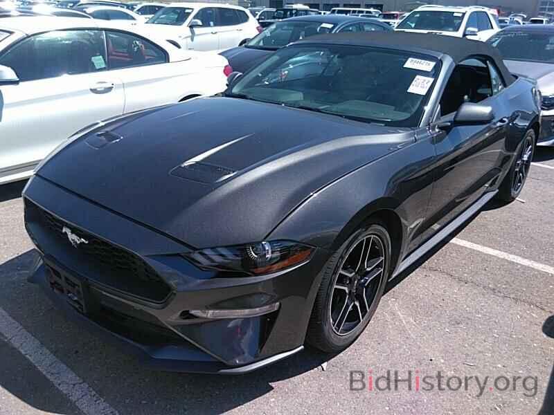 Photo 1FATP8UHXK5148563 - Ford Mustang 2019