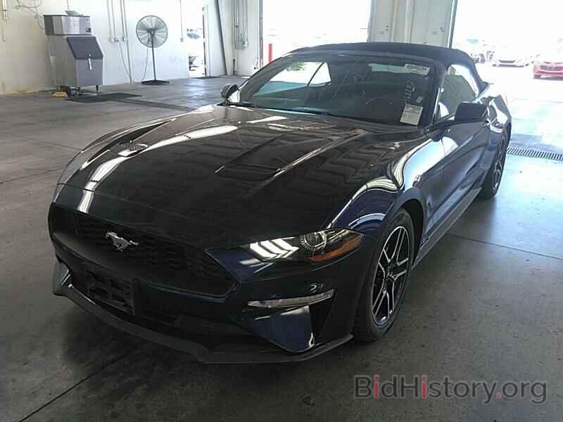 Photo 1FATP8UH8K5162252 - Ford Mustang 2019